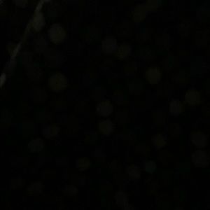 Meet your Posher, Juan